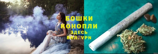 мдпв Верхний Тагил