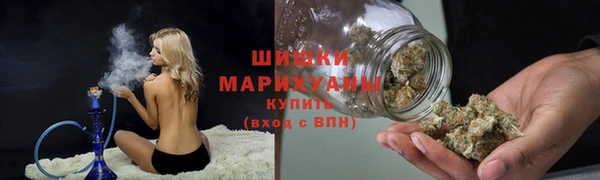 мдпв Верхний Тагил
