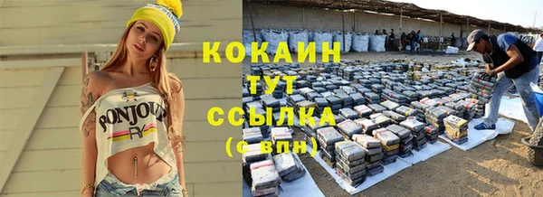мдпв Верхний Тагил