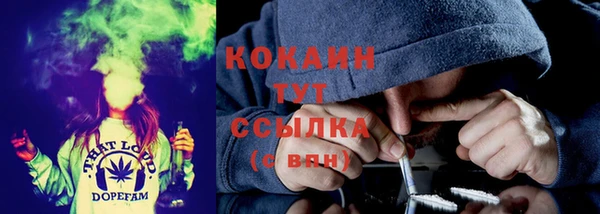 мдпв Верхний Тагил