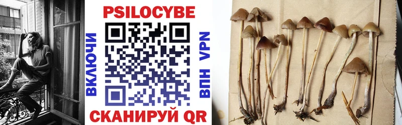 Купить где  Киренск  Галлюциногенные грибы Psilocybine cubensis 