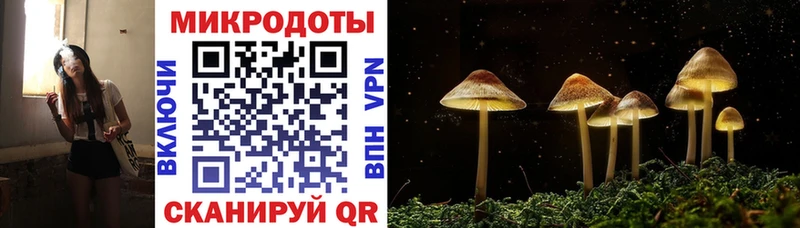 Галлюциногенные грибы мицелий Киренск